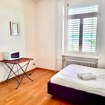 Lägenhet Superior Flat Close To Hb Uni Zürich